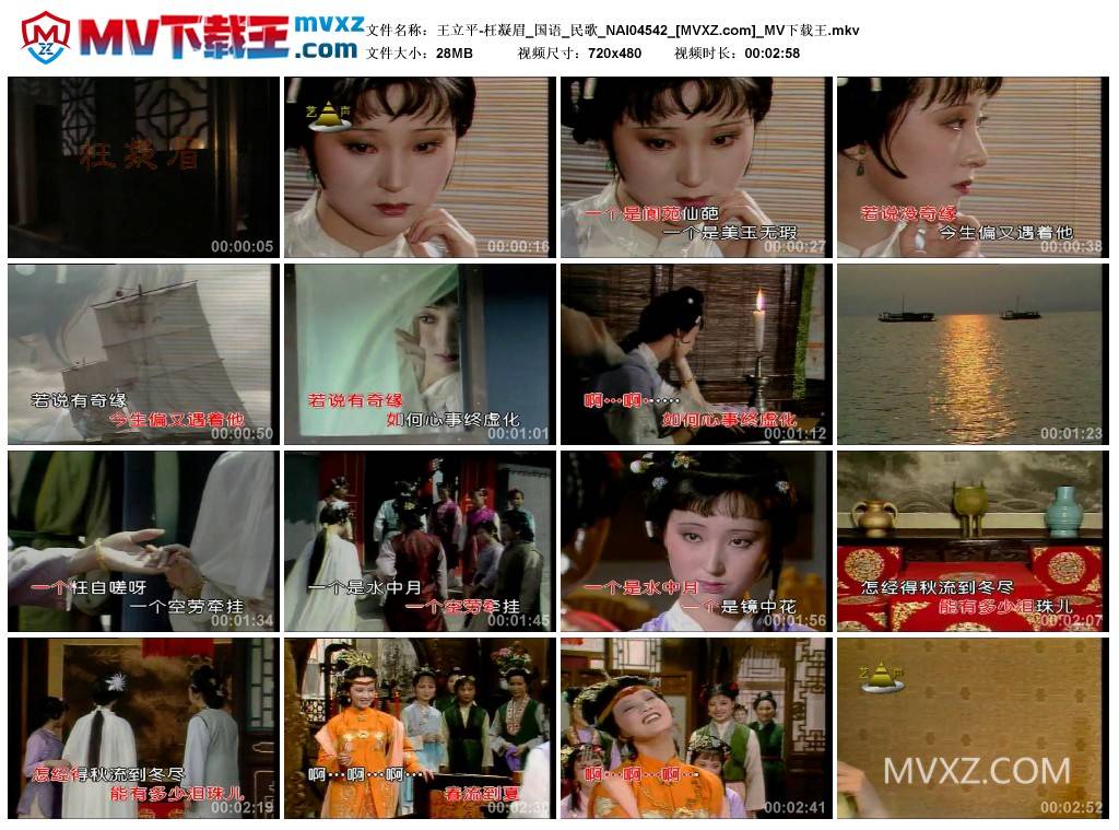 王立平-枉凝眉_国语_民歌_NAI04542